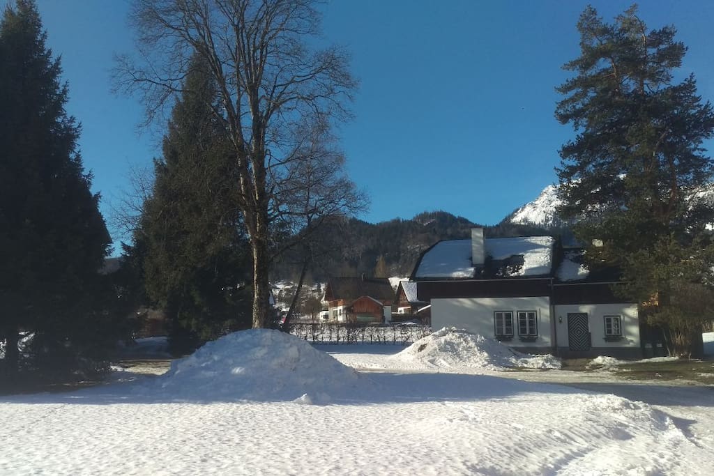 Ansicht vom Garten