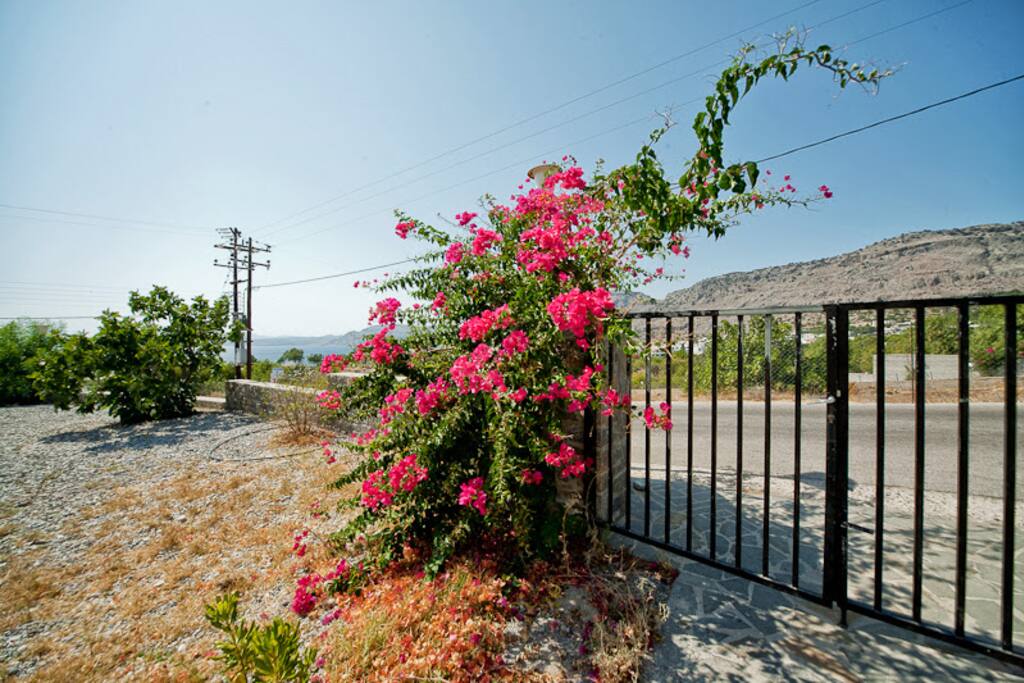 entrance
