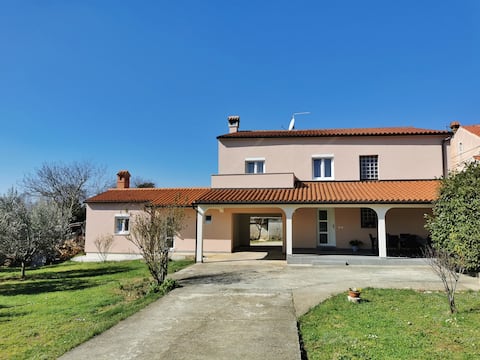 Successful Airbnb property: House A&S in Galižana