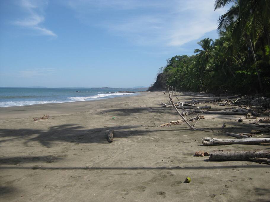 Enjoy walks on the beach
