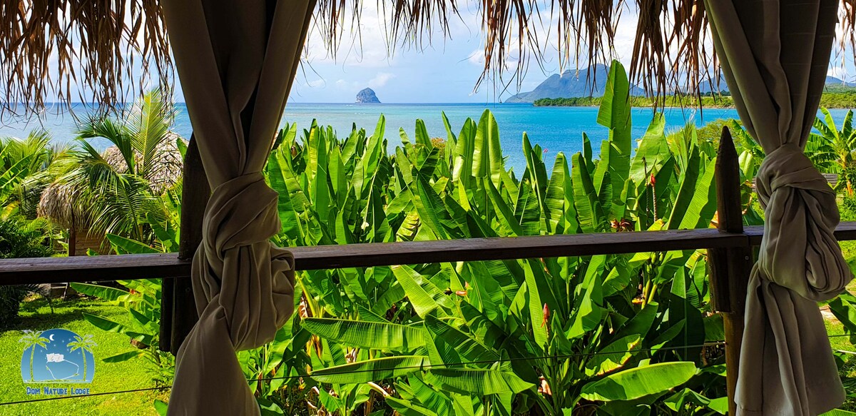 A view from the terrace showcases lush green foliage and palm trees framing a vibrant ocean scene. The turquoise water meets the horizon under a clear sky, with distant hills visible against the backdrop. Natural textures are highlighted by soft, neutral drapery.