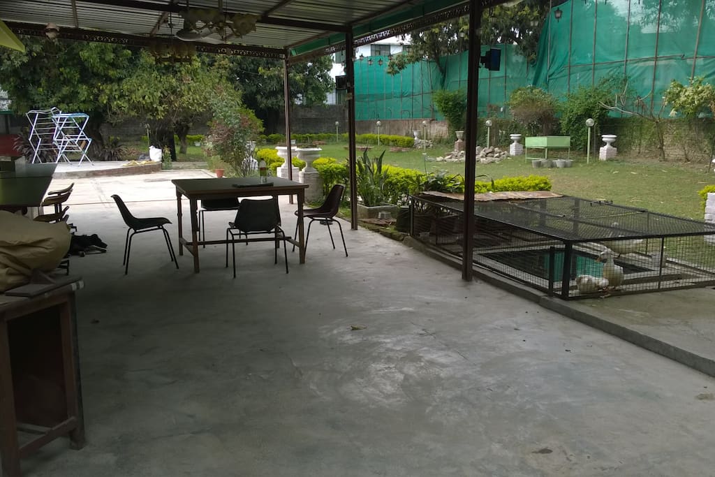 PARTY AREA, DUCK POOL, LAWN, KARAOKE AND DISCUSSIONS AREA ON THE LEFT BACK GROUND