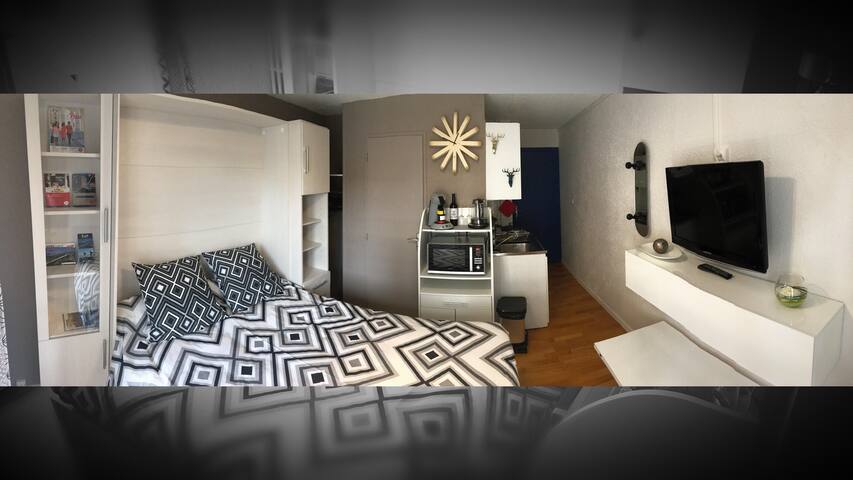 Entire home with Studio bedrooms in Pau - Studio cosy avec balcon, parking gratuit sécurisé