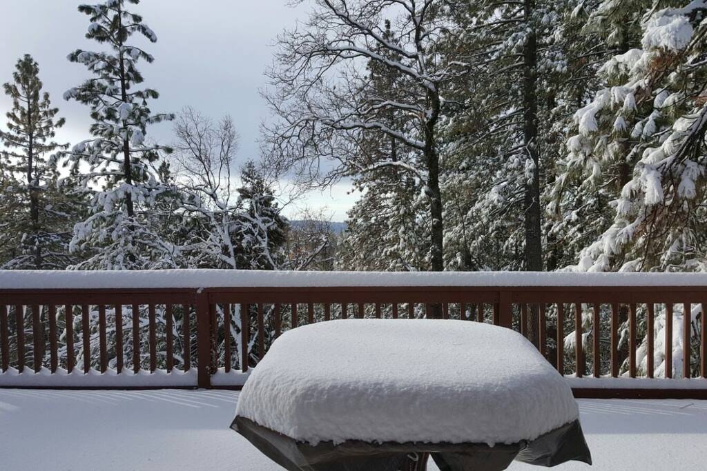 Winter wonderland