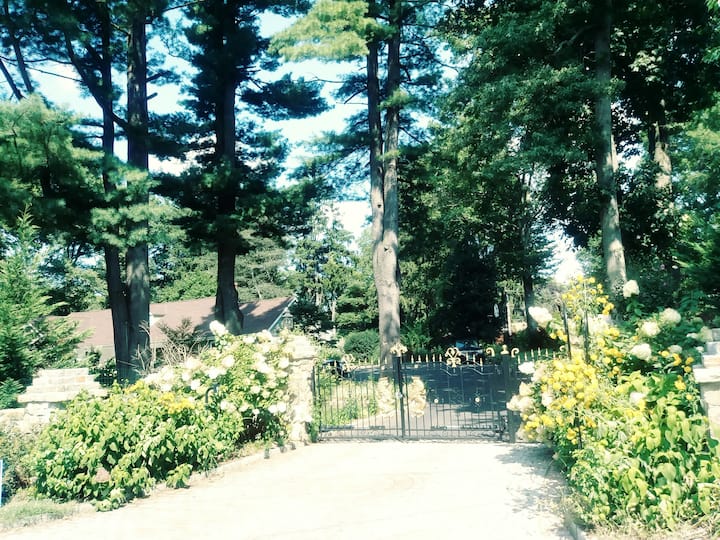 STAMFORD - WELCOME TO NEW ENGLAND ! (Downstairs 2)