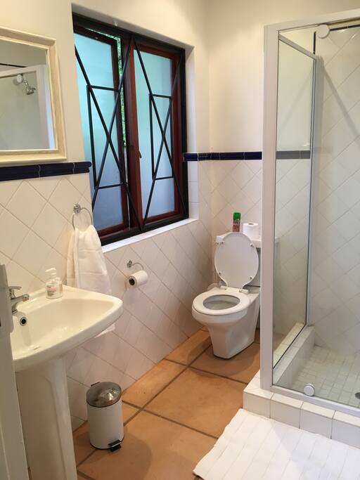 Shower with shampoo and conditioner and towels