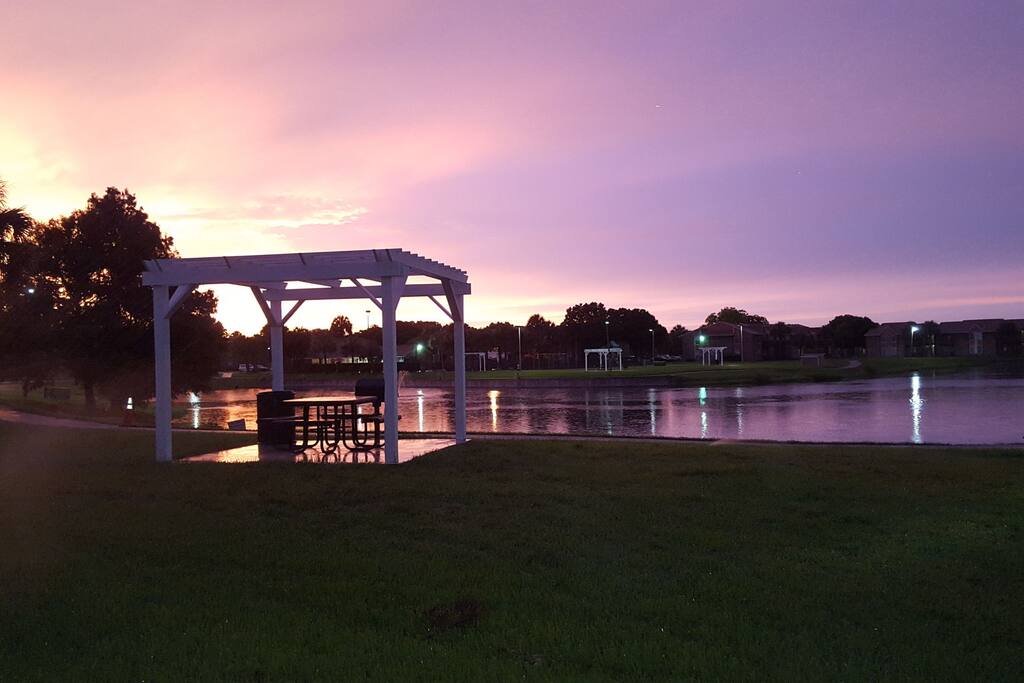 Lovely lake view