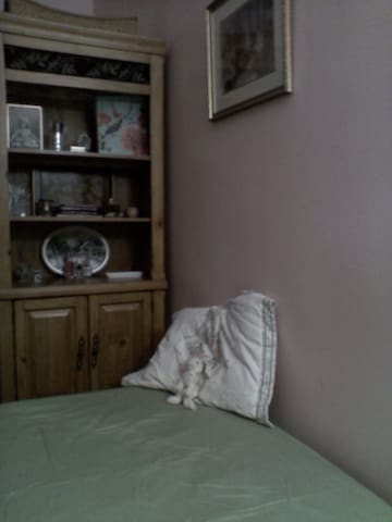 Females only for midtown apt share