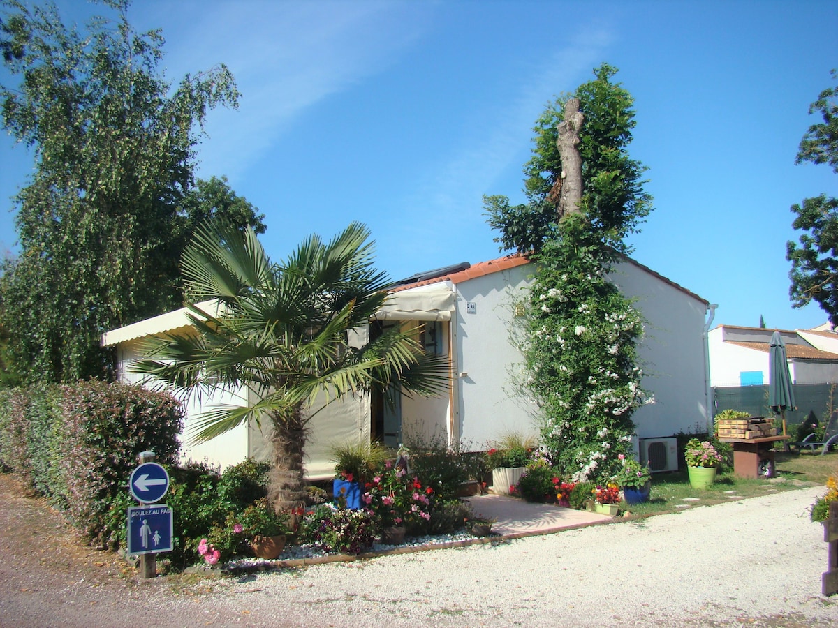 A single-story house is framed by vibrant greenery and flowers. A palm tree stands prominently near the entrance, while a trellis is adorned with climbing plants. The clear blue sky enhances the inviting atmosphere of the residence, which is set back from a gravel path.