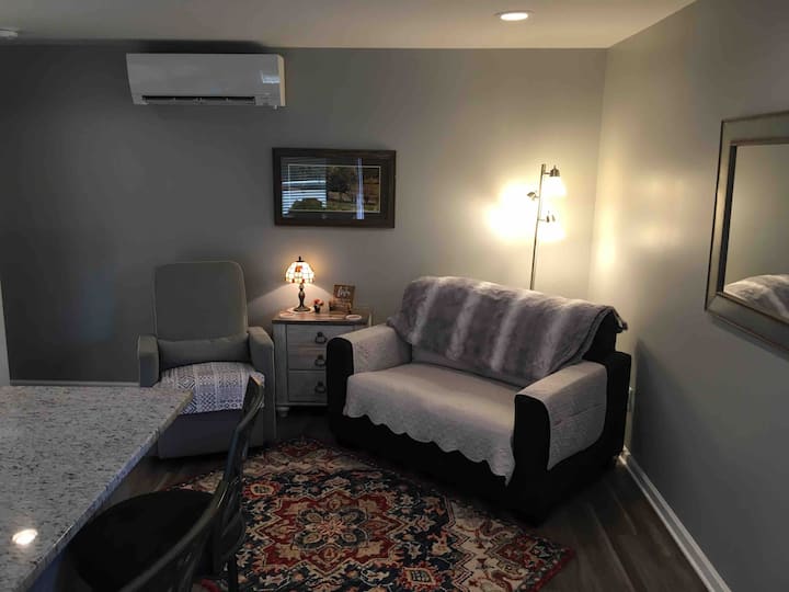 Twin-sized sofa bed for an extra guest