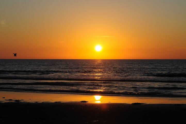 2MissionBeachHMs/OceanFRONT/Sunset/Views/5Patios gallery image 4