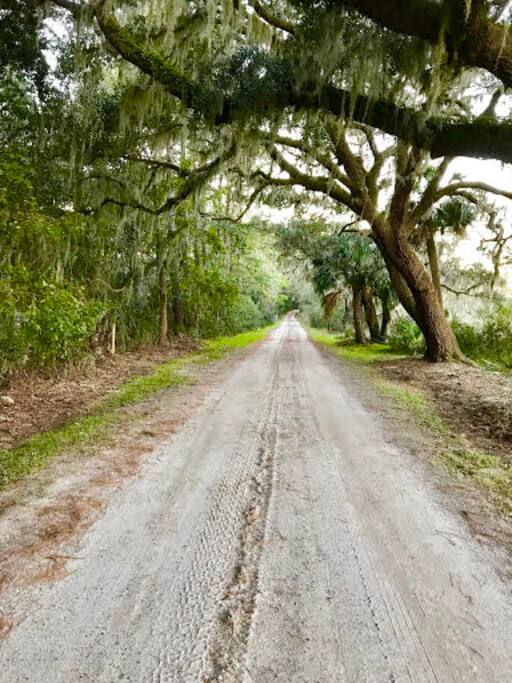 Driveway
