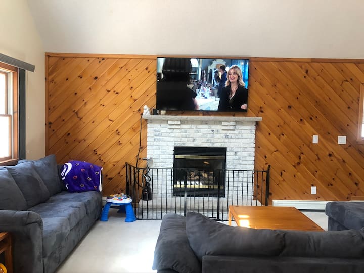 მისაღები ოთახი / გაზის ბუხარი 