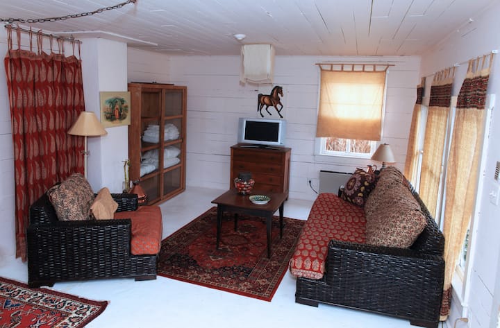 Stylish Spacious Studio Middleburg, - Marshall, VA
