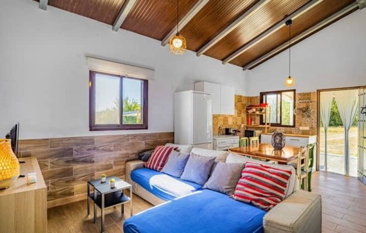 Casa Rural Buenavista - Vejer de la Frontera