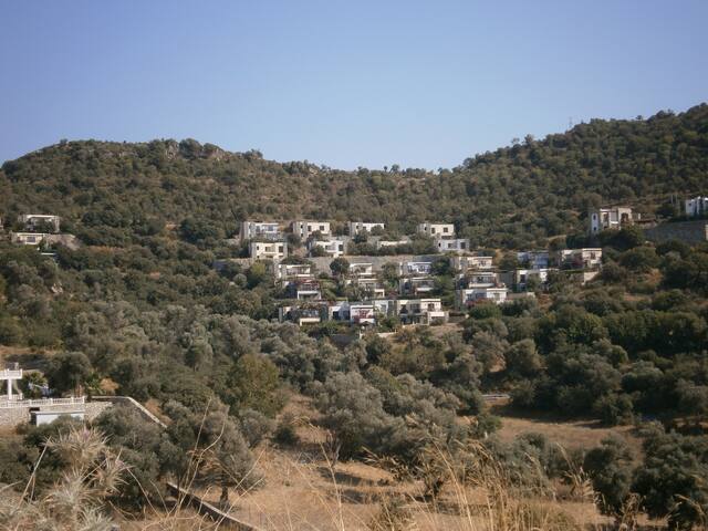 listing_image