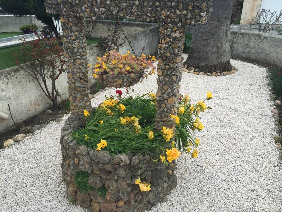 jardin devant