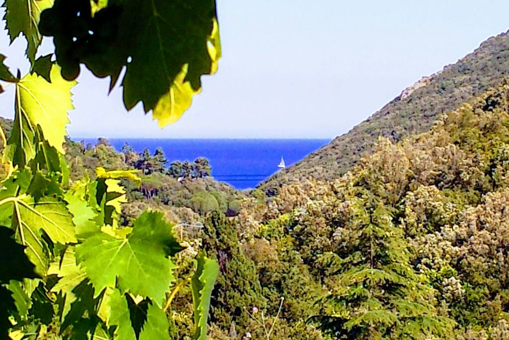 La Suggestiva Vista Mare/Monti