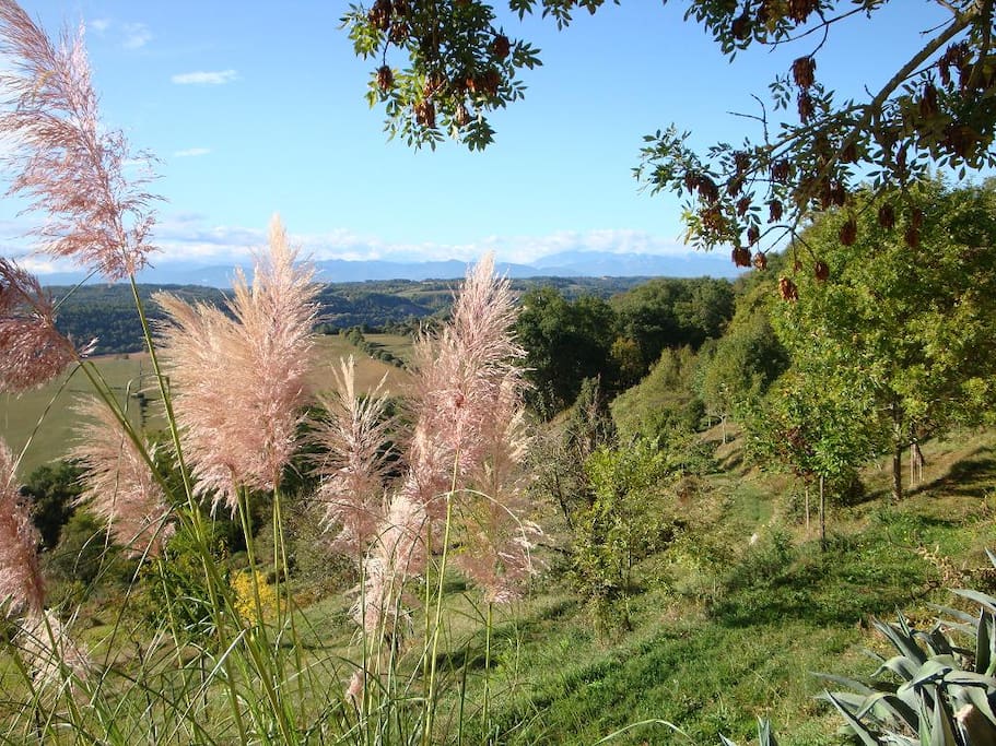 Vue sur la chaîne des Pyrénées