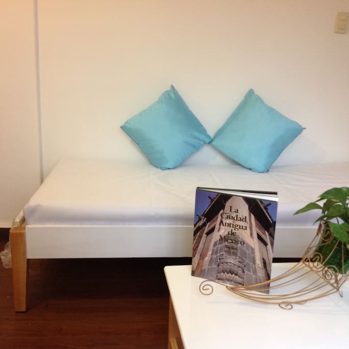 El sofá de la sala es una cama individual para niños o un tercer huésped