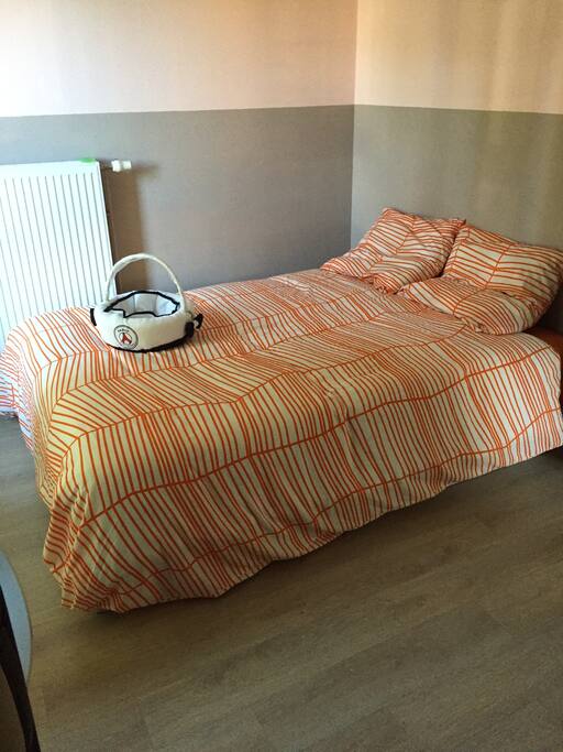 Your comfortable bed to sleep on!