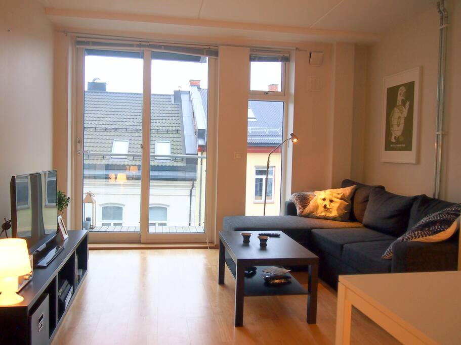 The apartment.