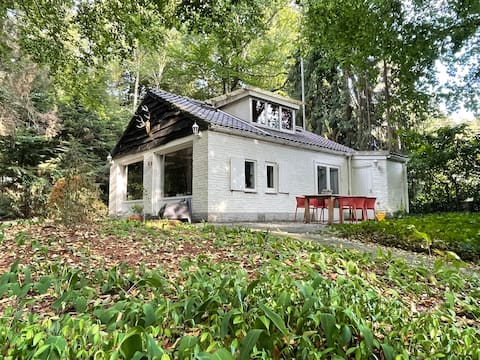 Quirky Forest House
