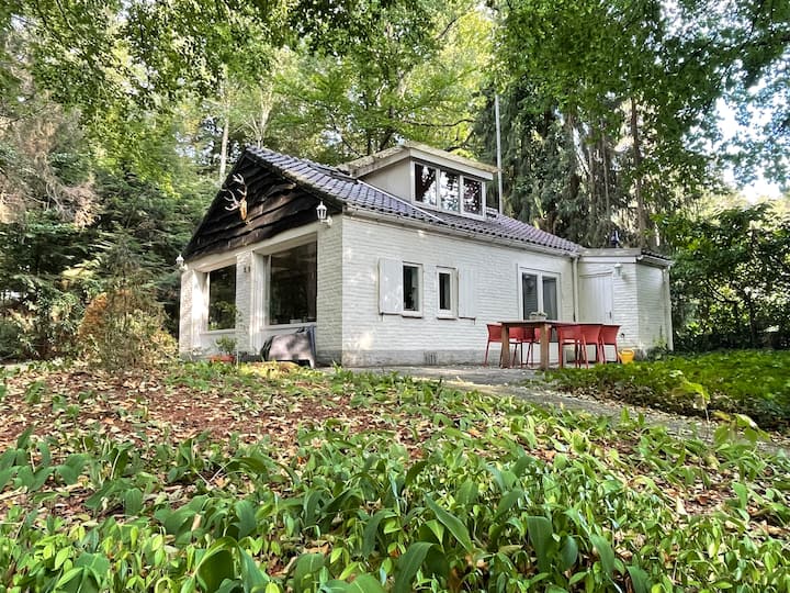 Quirky Forest House