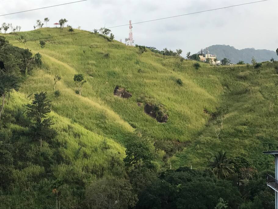 Beautiful Mountain View from your balcony!