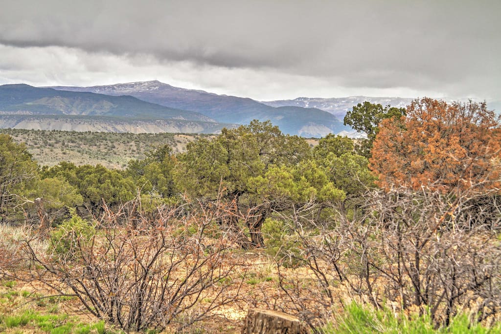 Stunning views of the San Juan mountain range surround the 10 acre property.