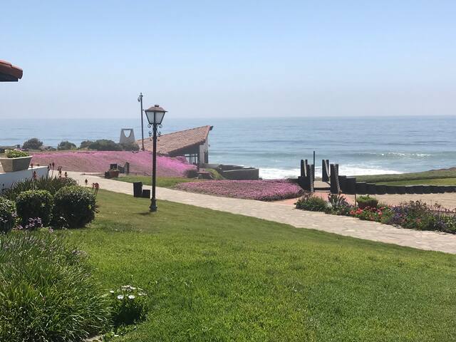 Amazing Beachfront Resort With Pool