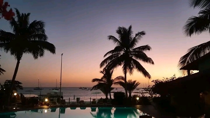 A serene pool area is framed by palm trees, creating a tranquil atmosphere at sunset. The horizon is filled with soft hues of orange and purple, while silhouettes of sailboats can be seen on the water in the background.