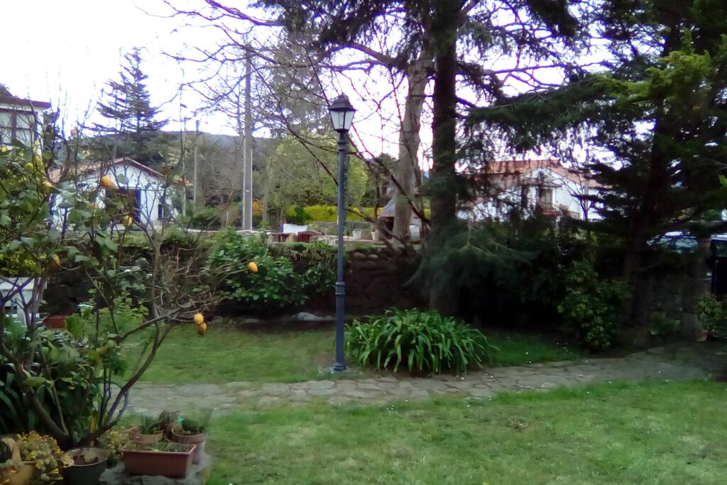 JARDIN