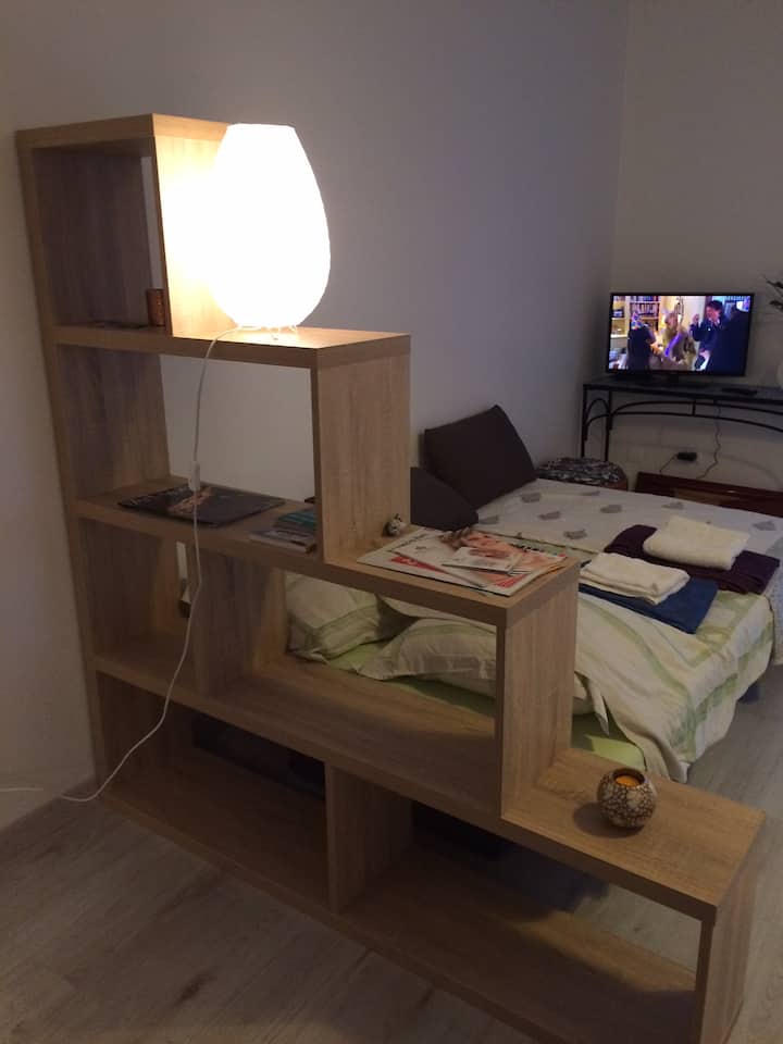 ноќна страна ( каучот е отворен во креветот: фотографија со додаток на библиотека и телевизор)