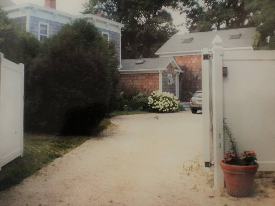 Entrance Gates (w cat)