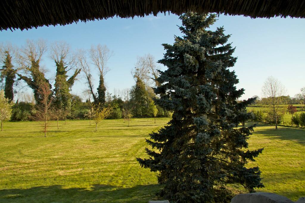 VIEW ON THE GARDEN