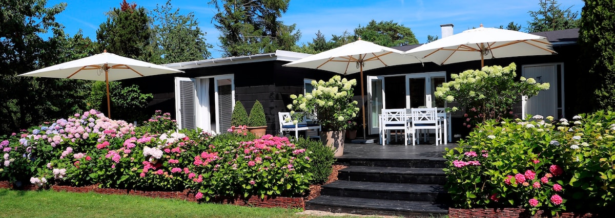 A black exterior house is surrounded by a well-maintained garden filled with colorful hydrangeas. Two large umbrellas provide shade over a patio area with white chairs and a table. Steps lead up from the lush lawn to the wooden deck, creating an inviting outdoor space.