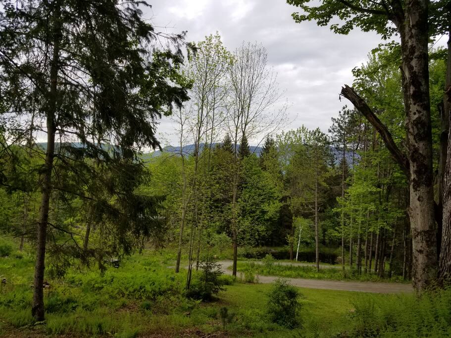 Overlooking Pond and Mountains