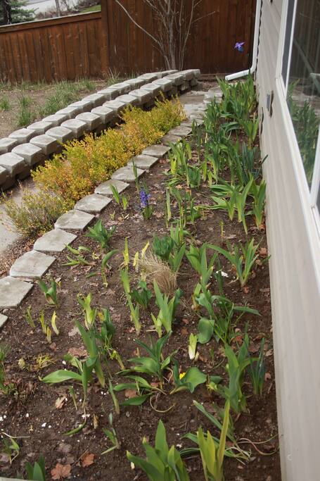 Flower beds out front