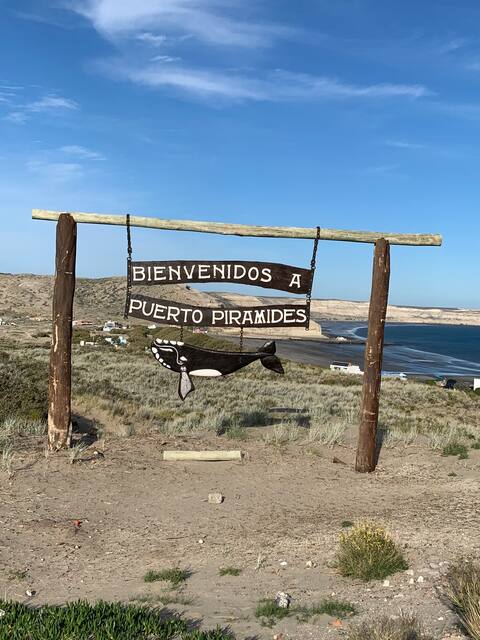 Dream beach in Peninsula Valdés