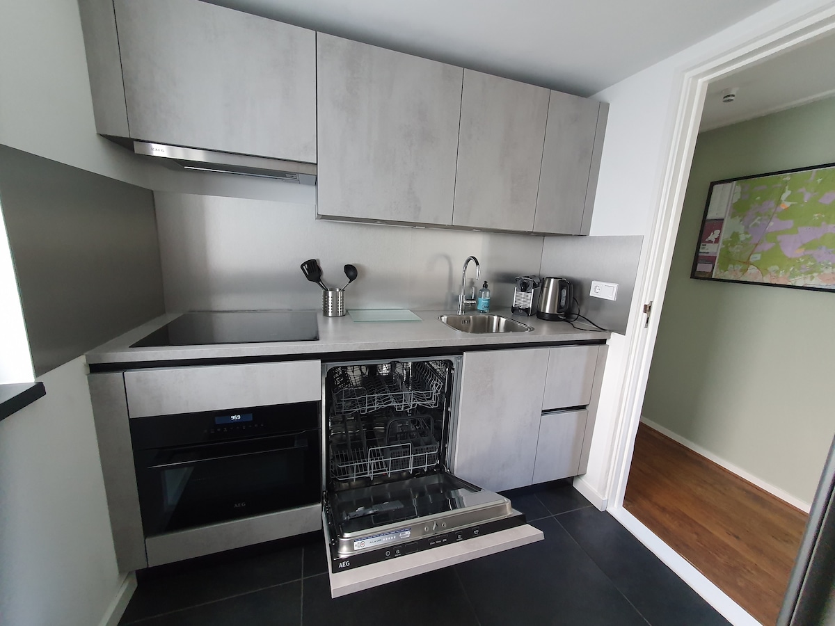A modern kitchen features sleek grey cabinetry and stainless steel appliances. An oven and a dishwasher are visible, with the dishwasher door opened to reveal its interior. The countertop holds a kettle and sink, providing a functional cooking space.