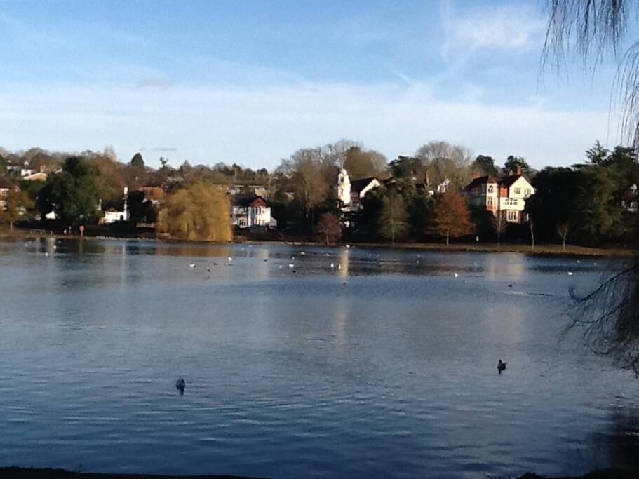 A natural retreat for many wildlife