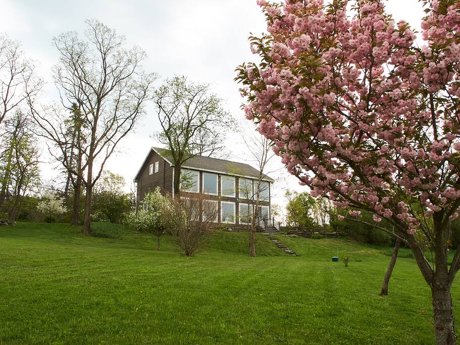 View of floor to ceiling windows from garden.