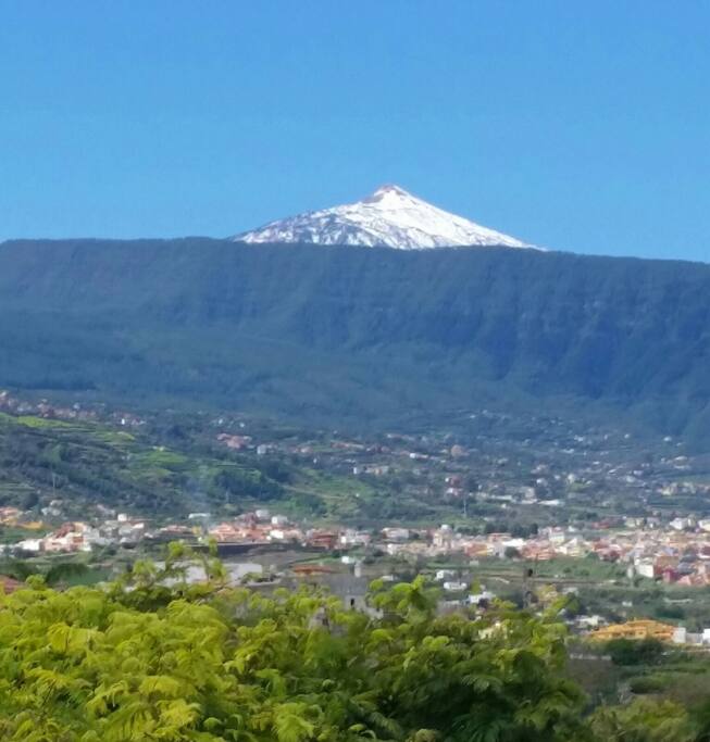 Este paisaje es el que se ve desde la ventana de la ha habitacion...