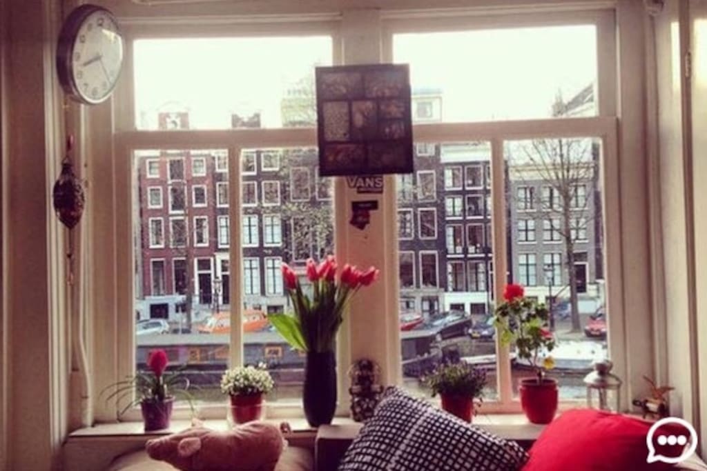 livingroom view