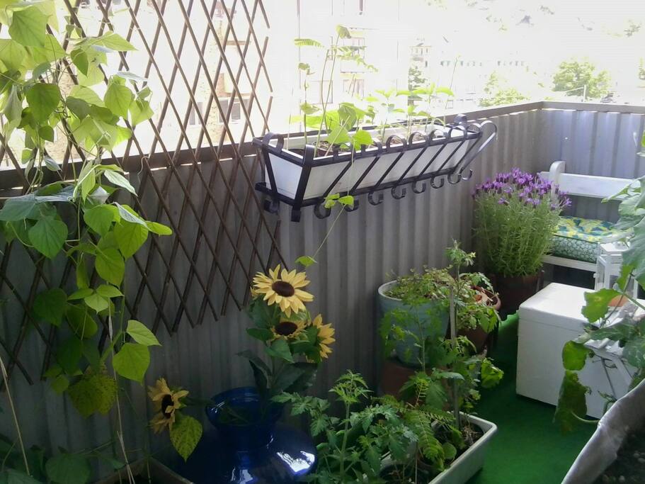 Balcony / Balkong. Private entrance from your bedroom