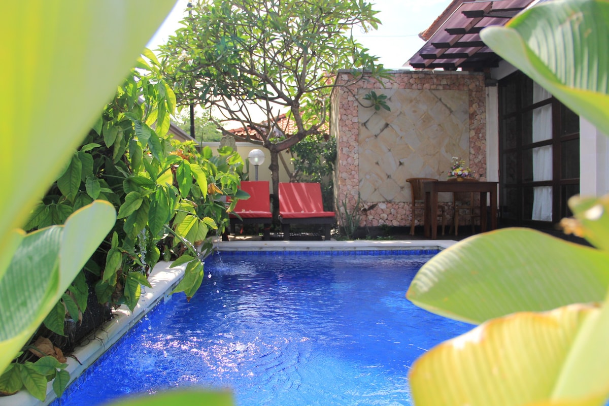 Ketut Villa Sanur, 3 Bedroom Villa - Villas For Rent In South Denpasar ...