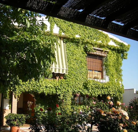 "La Aldabilla": Peace and quiet ten minutes from Granada