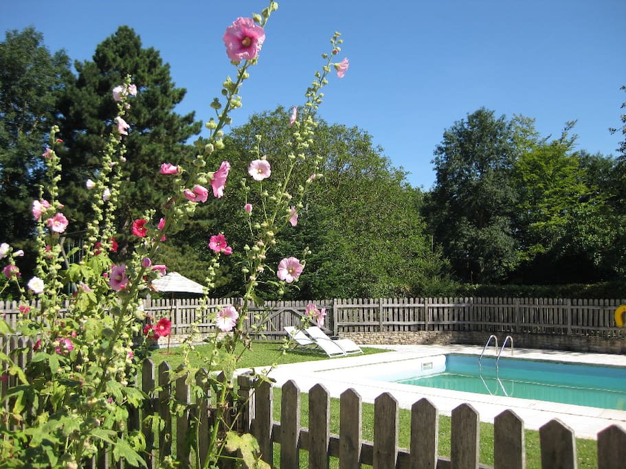 Cold-water pool operational June to September