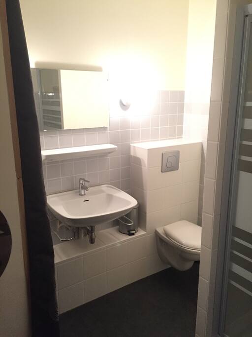 Salle de bain : lavabo, toilettes, douche.